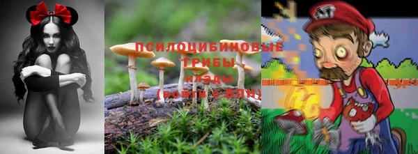 ГАЛЛЮЦИНОГЕННЫЕ ГРИБЫ Алексеевка
